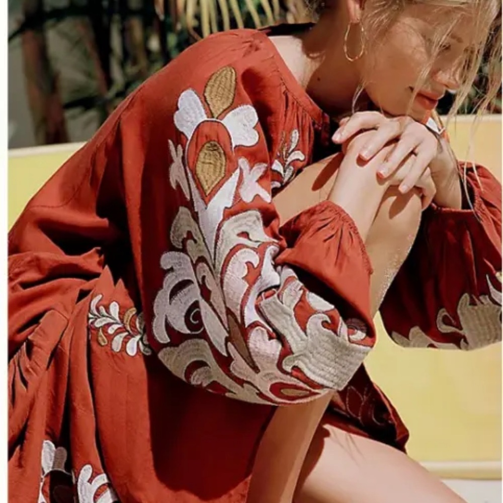 Anthropologie Rust Embroidered Long Sleeve Dress - Picture 14 of 17